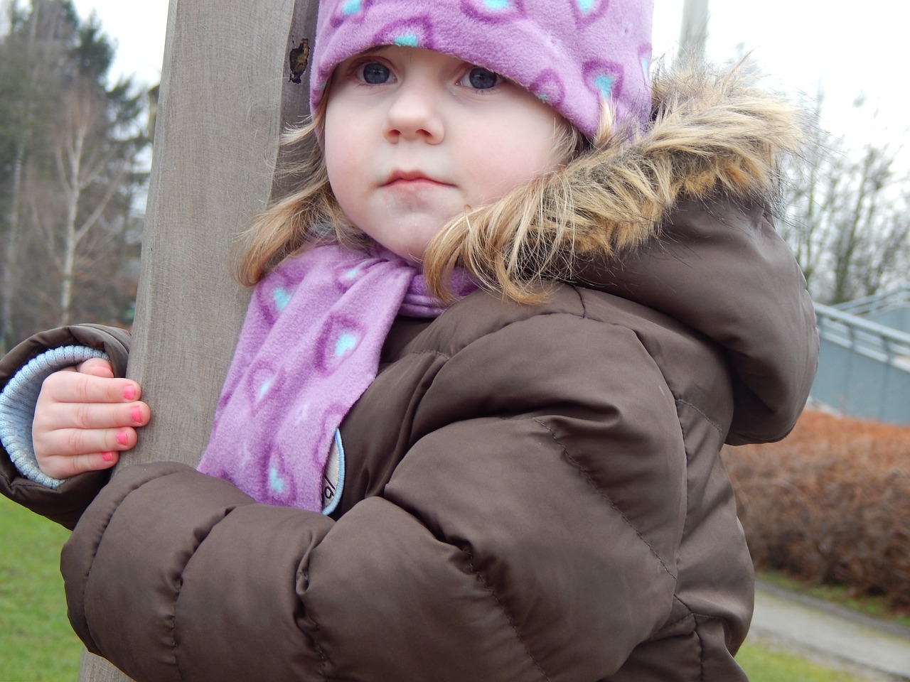 child field girl free photo