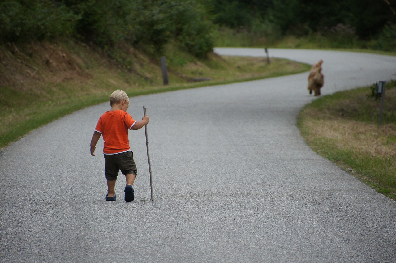 child dog nature free photo