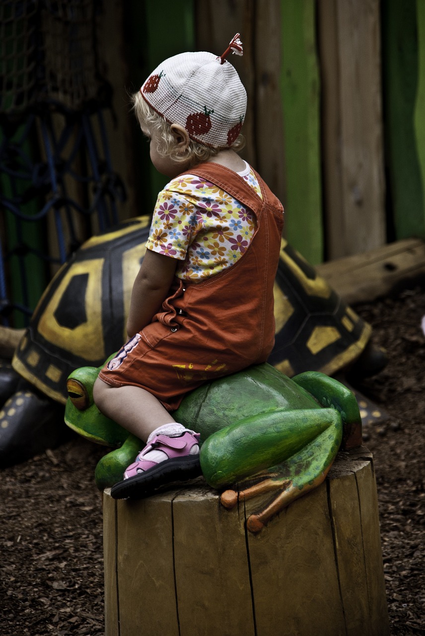 child playground frog free photo