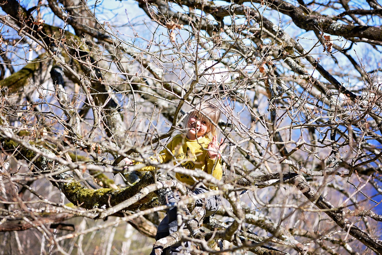 child girl tree free photo