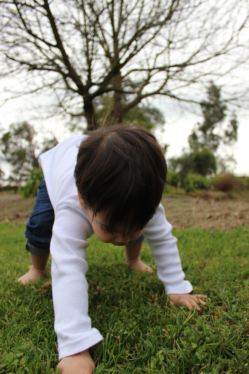 child boy toddle free photo