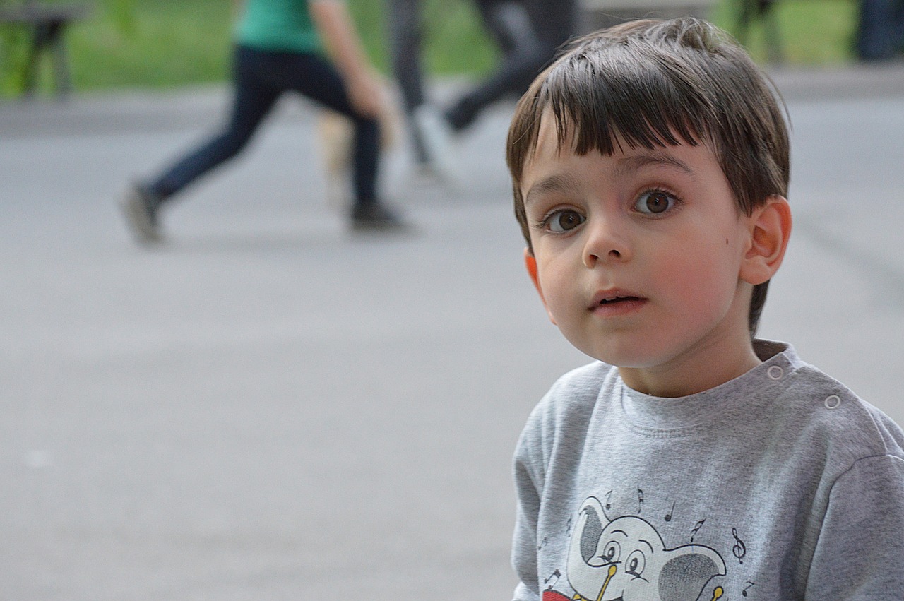 child boy portrait free photo