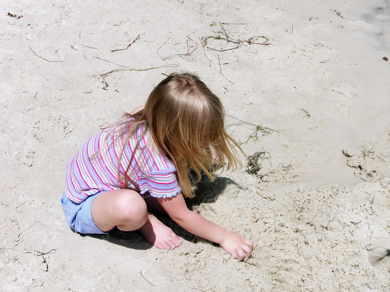 child beach playing free photo