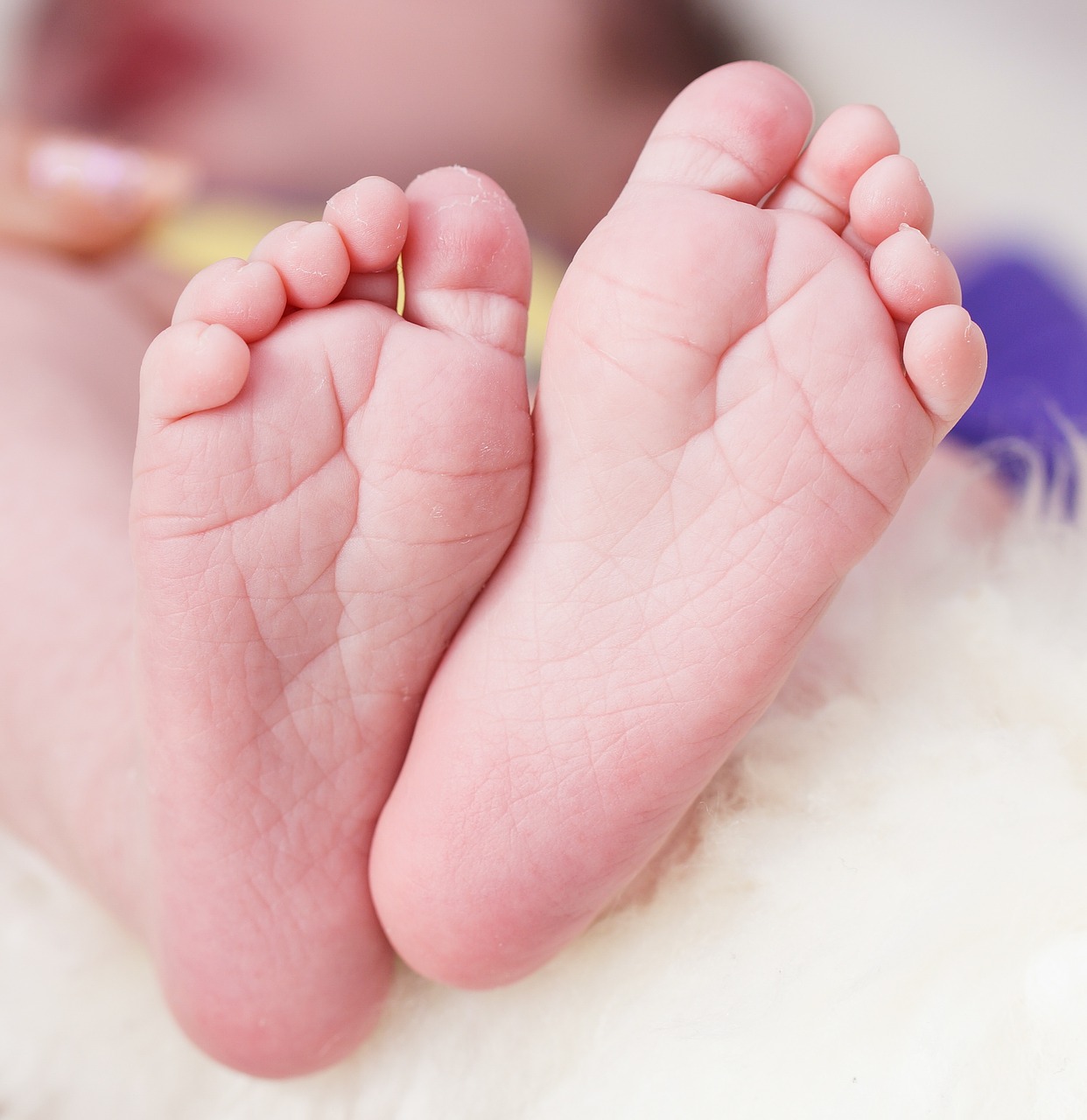 child children's feet young free photo