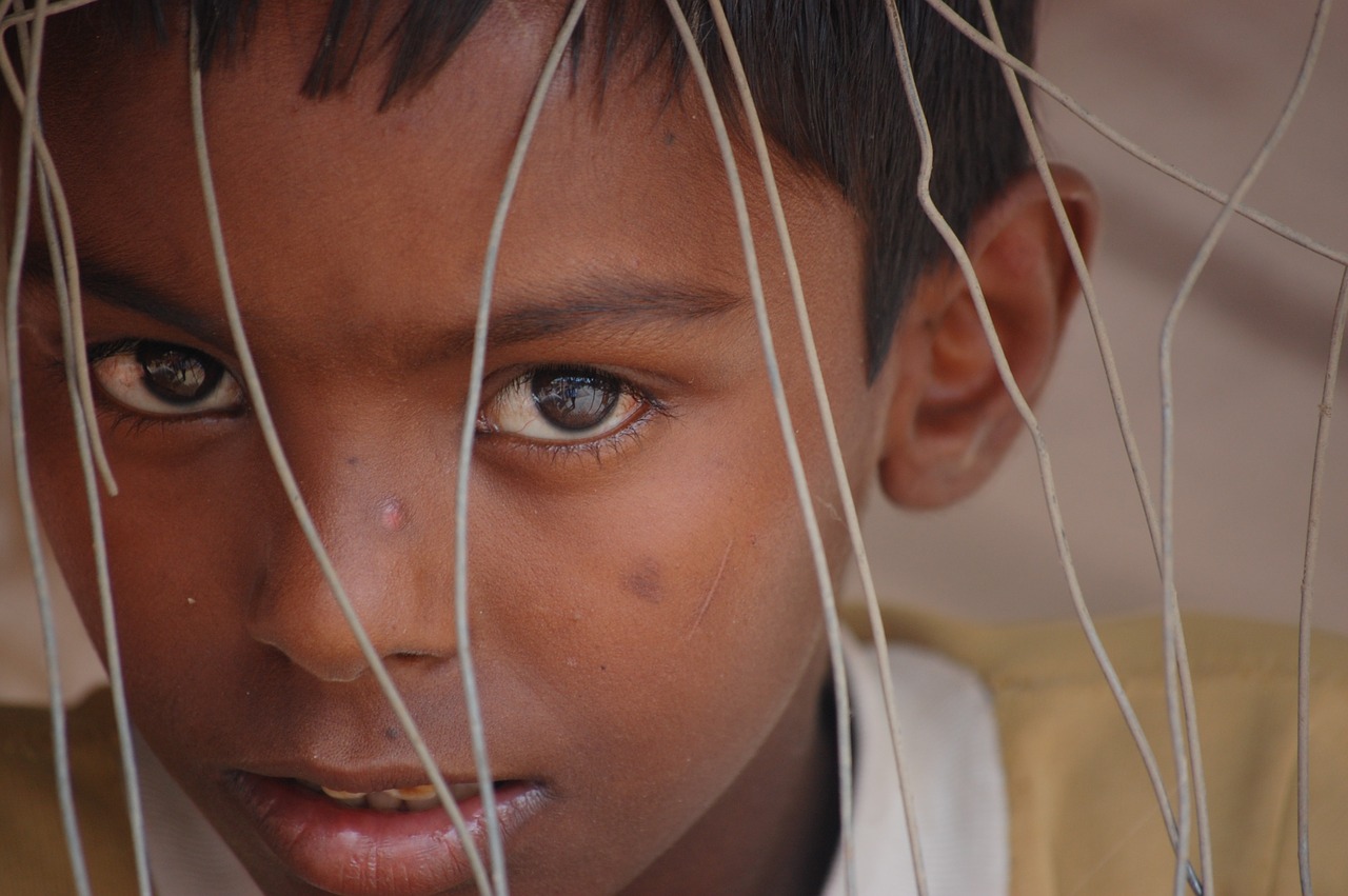 child indian grid free photo