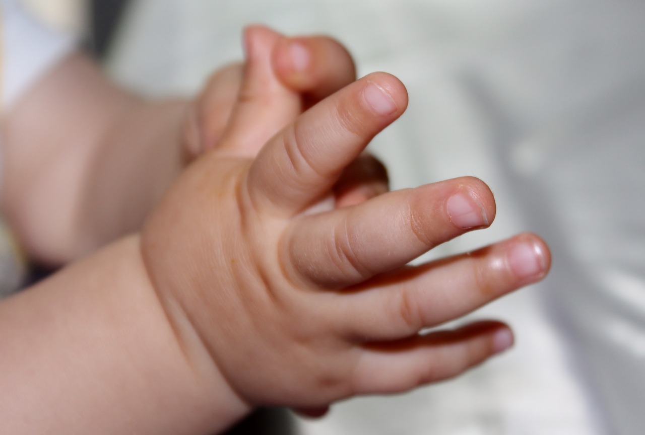 child baby hands free photo