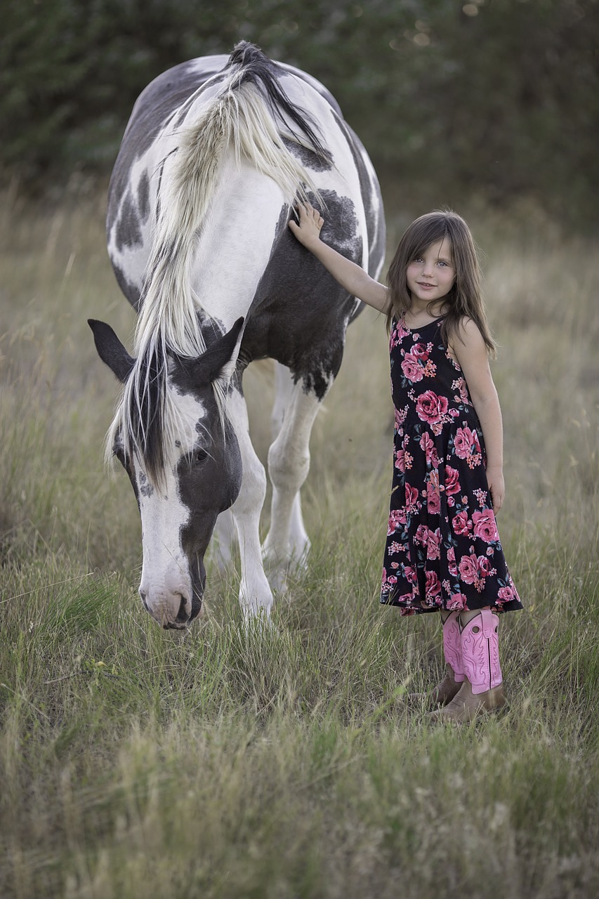 child horse animal free photo