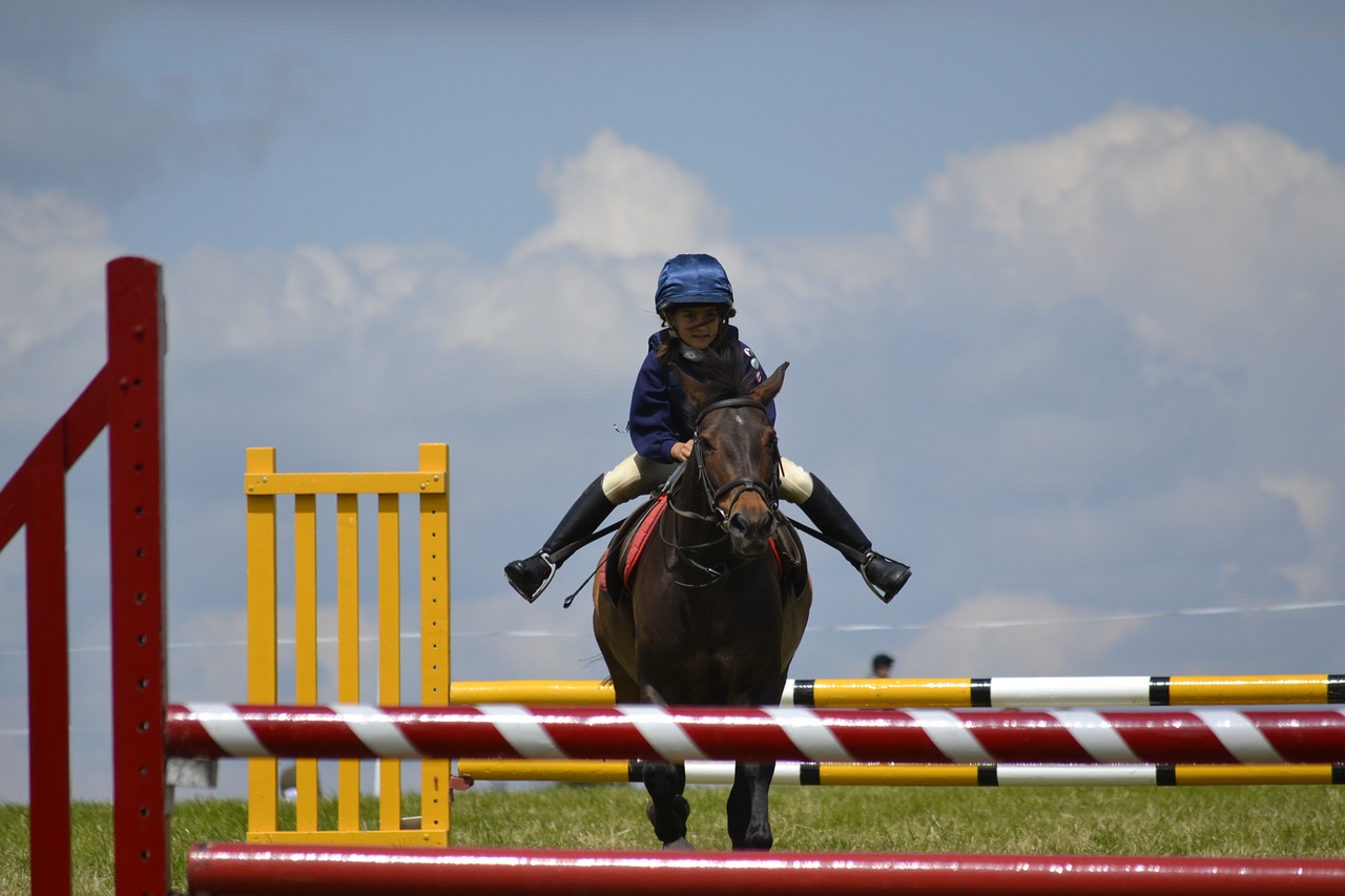 child horse jump free photo