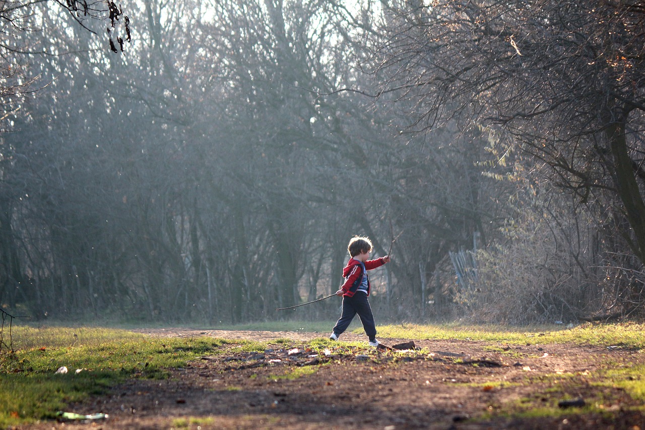 child play children playing free photo