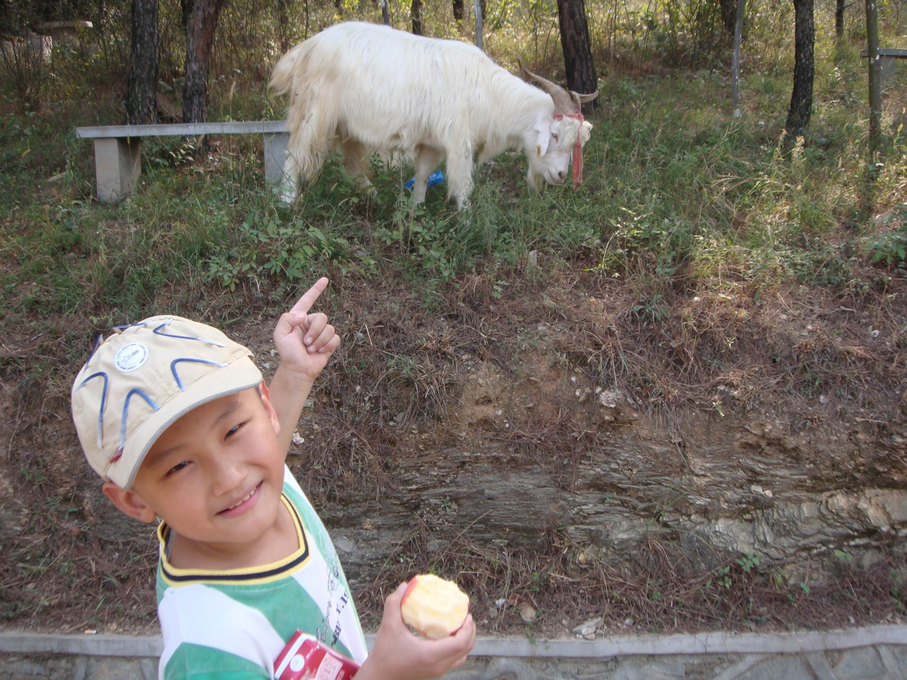 child goat child and goat free photo