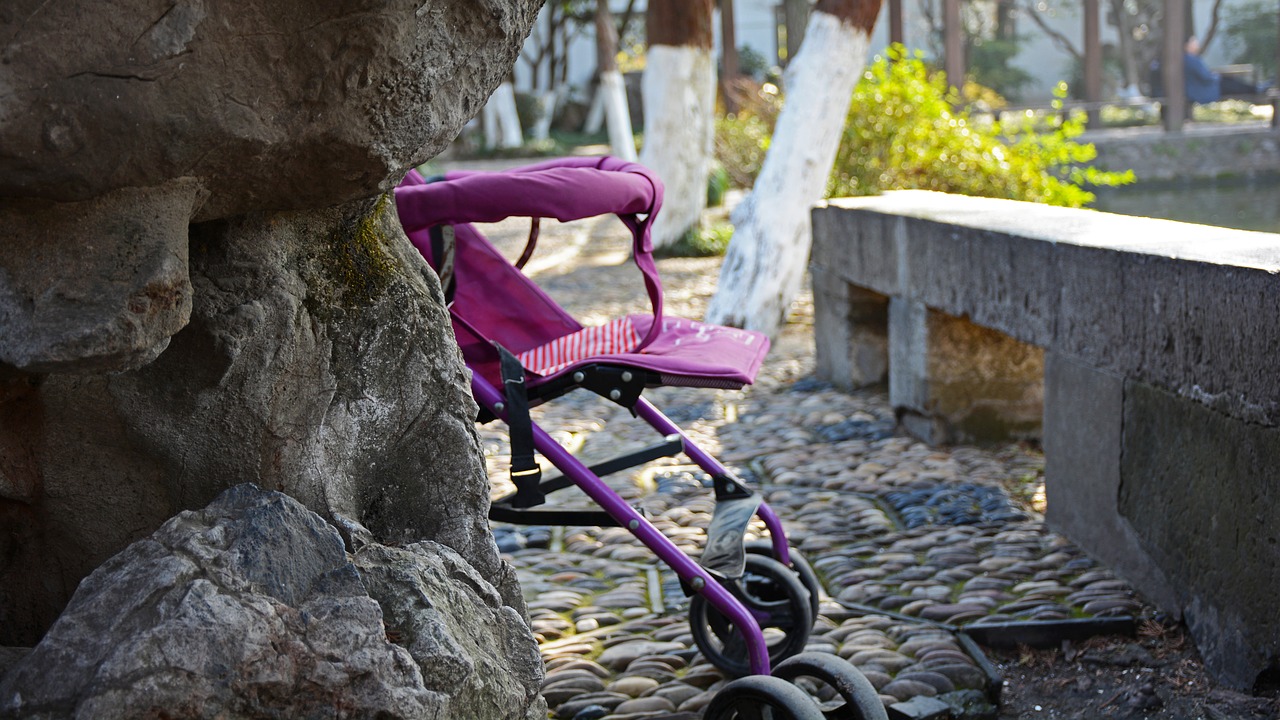 childlike stroller hide free photo