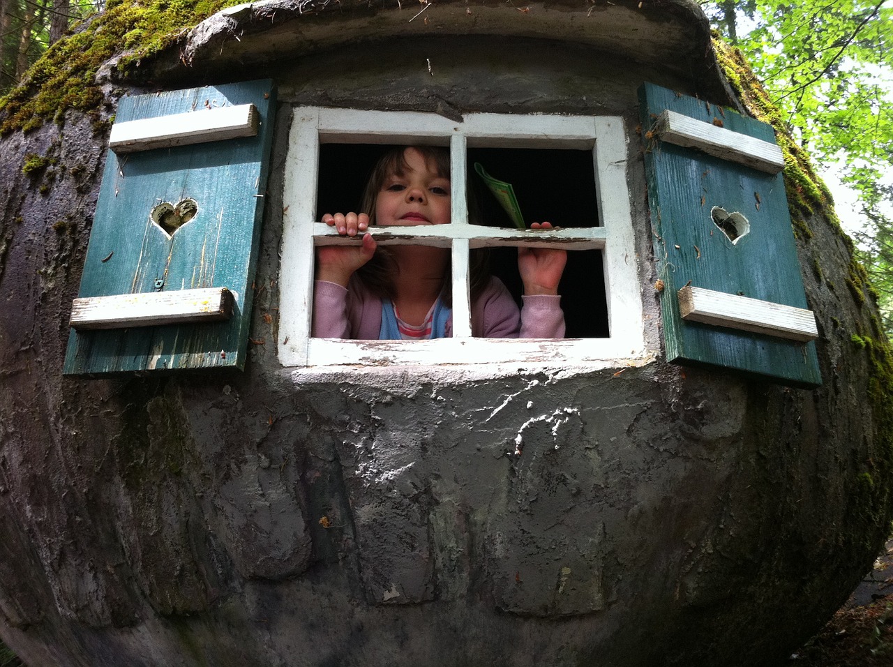 children play treehouse free photo