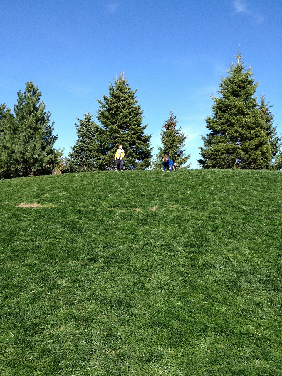 children playing fun free photo