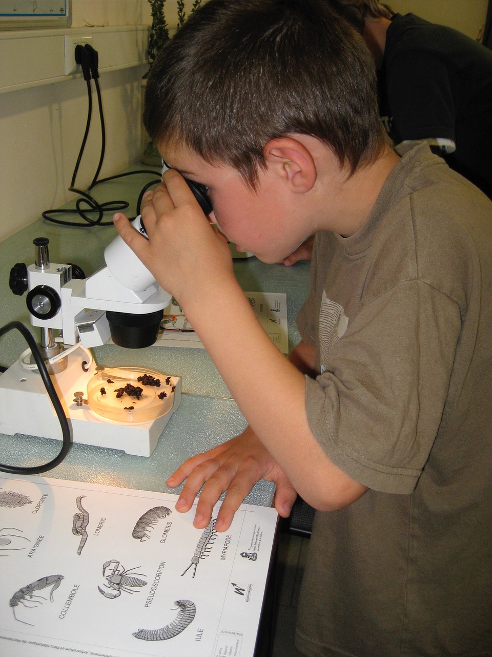 children activities microscope free photo