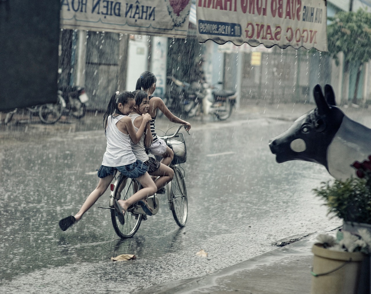 children happy playing free photo