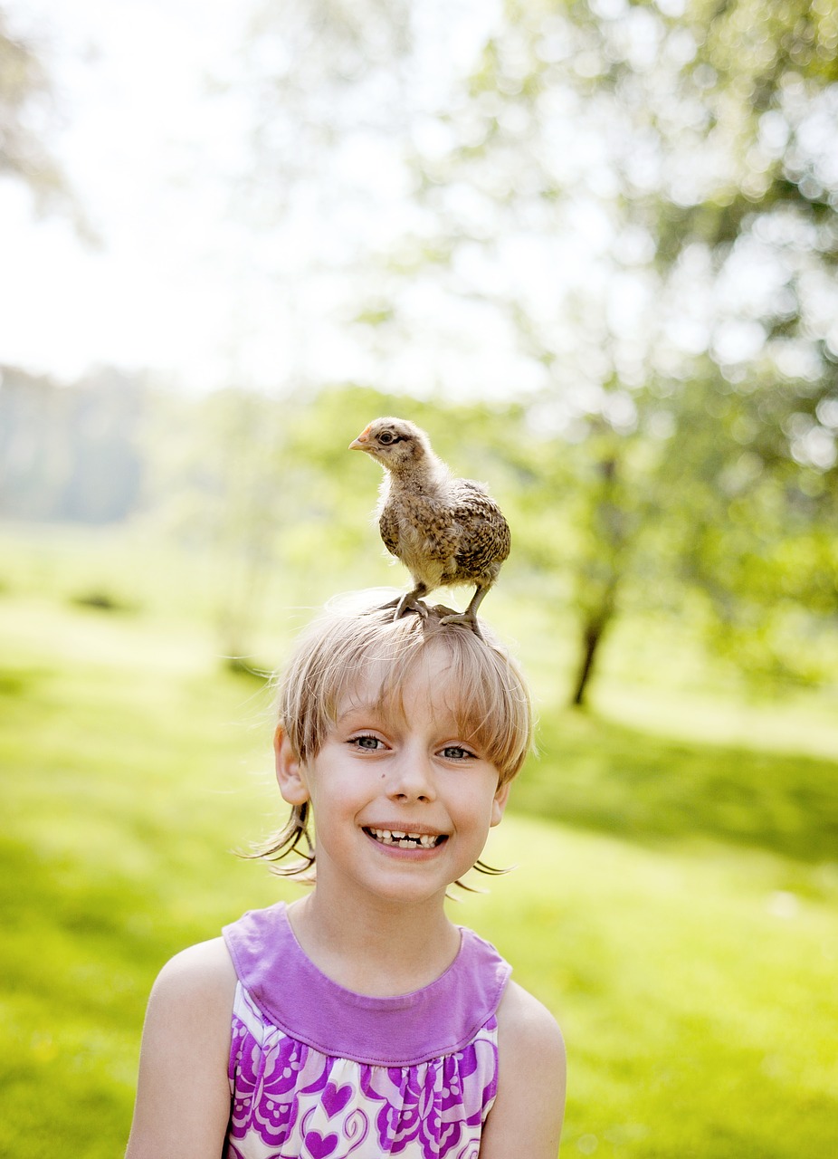 children  kids  backlight free photo