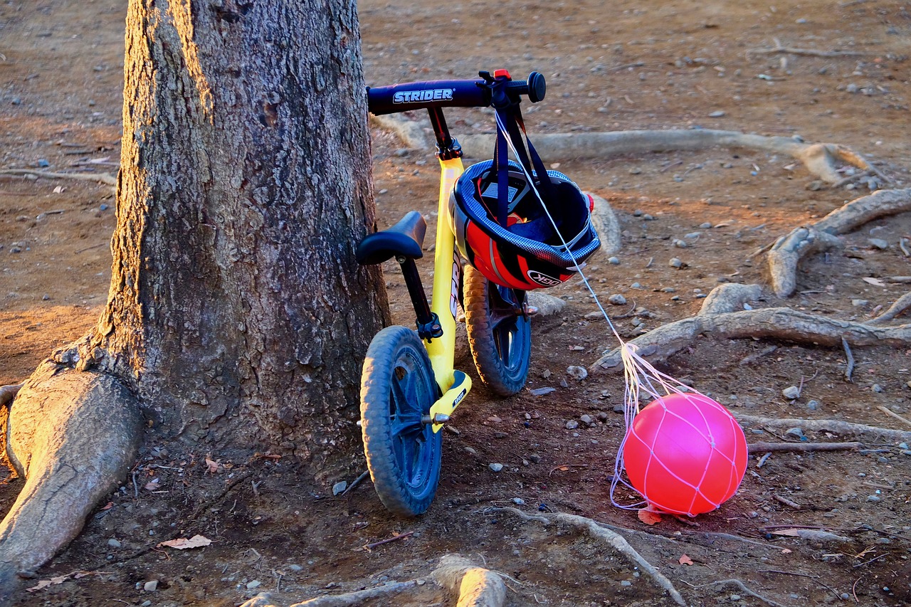 children  bicycle  evening free photo