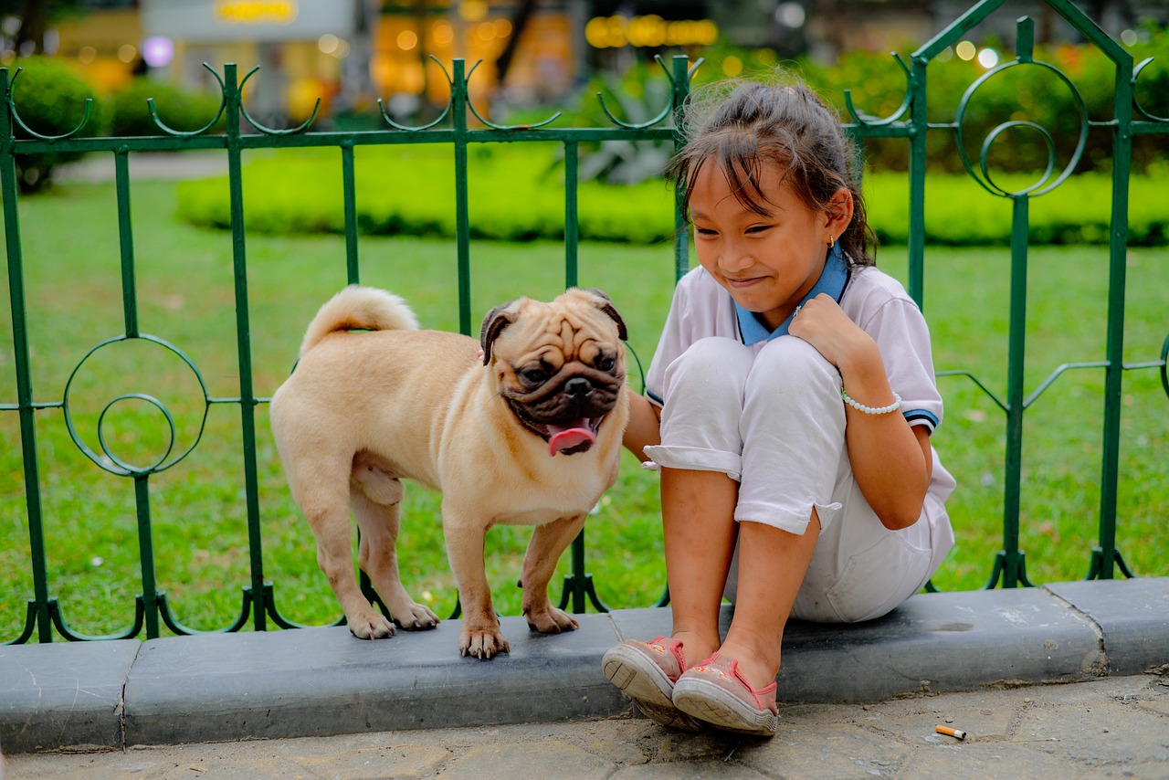 children  girl  pug free photo