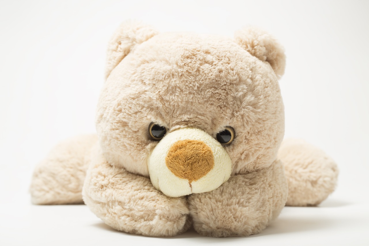 children teddy bear plush free photo