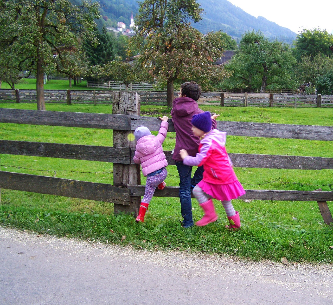 children play boy free photo