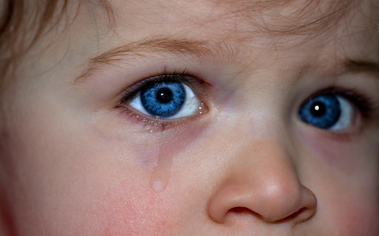 children's eyes eyes blue eye free photo