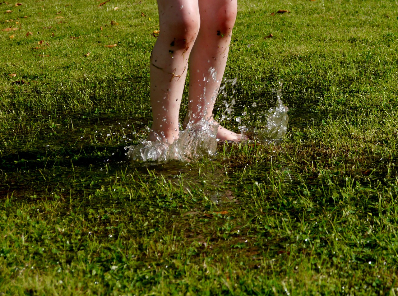 children's feet water meadow free photo