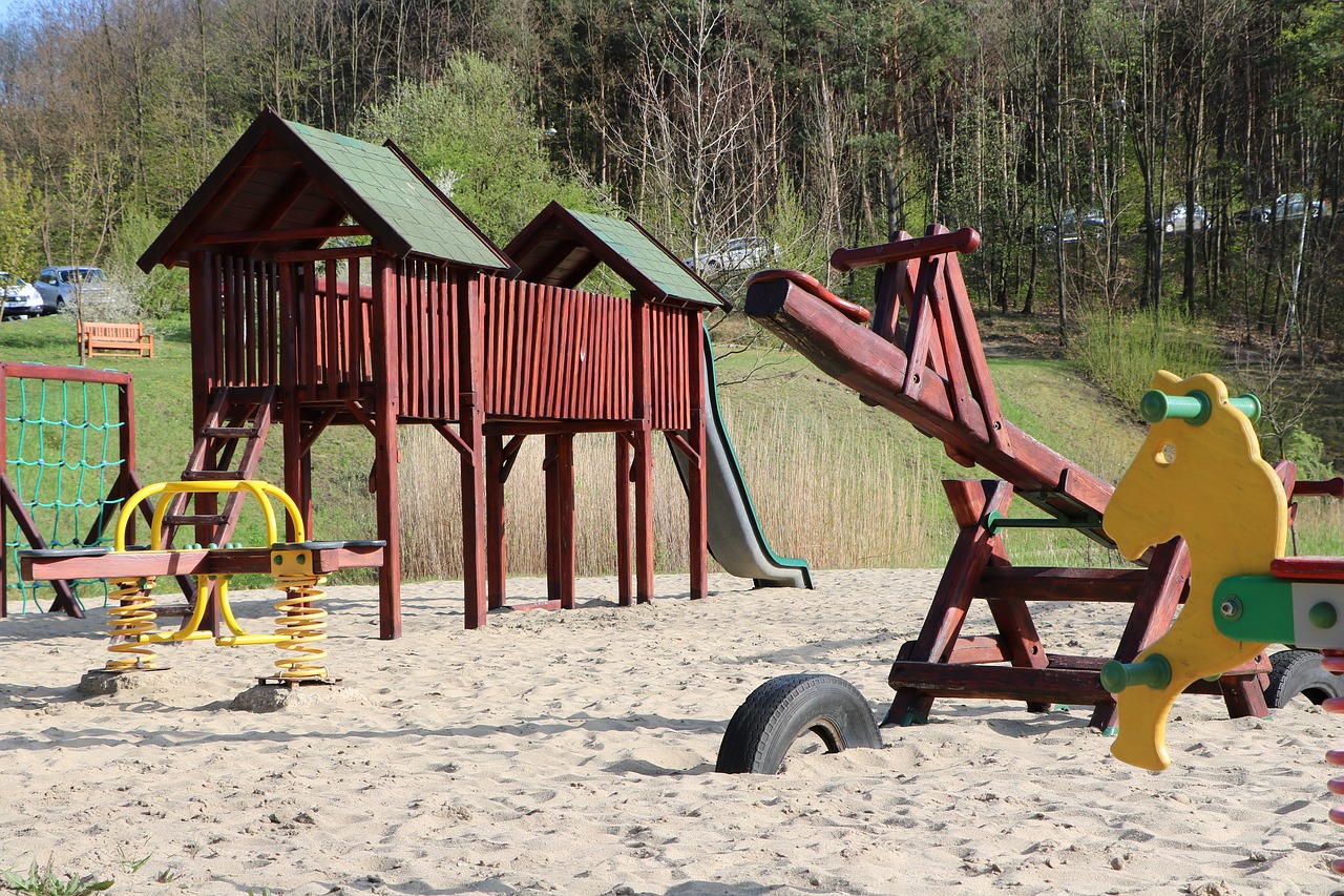 children's playground swing jungle gym free photo