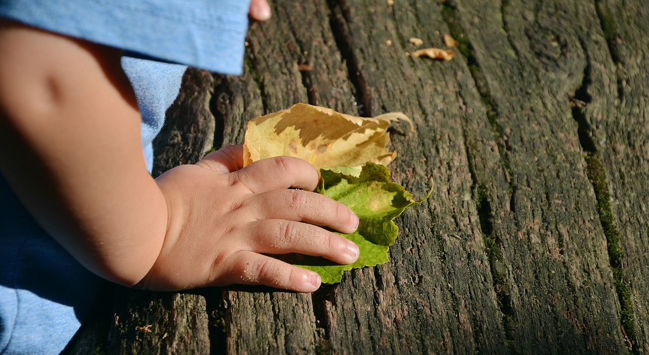 child's hand hand access free photo