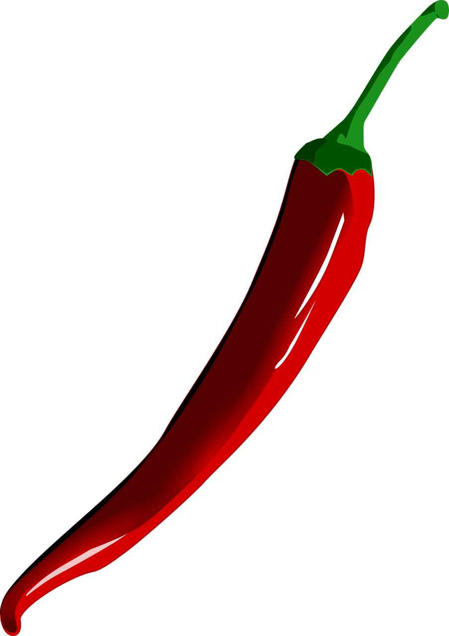 chile pepper vegetable free photo