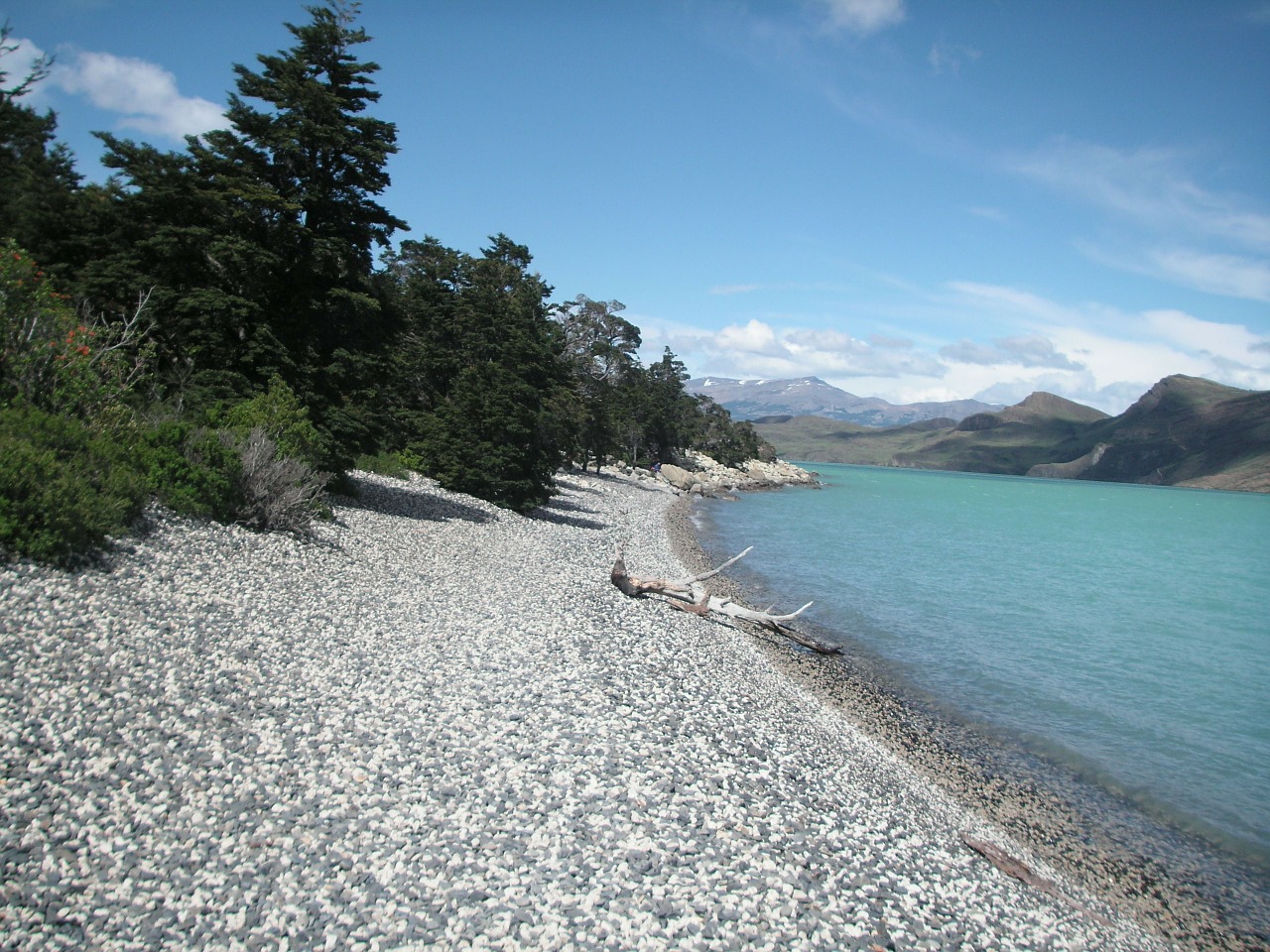 chile beach glacial lake free photo
