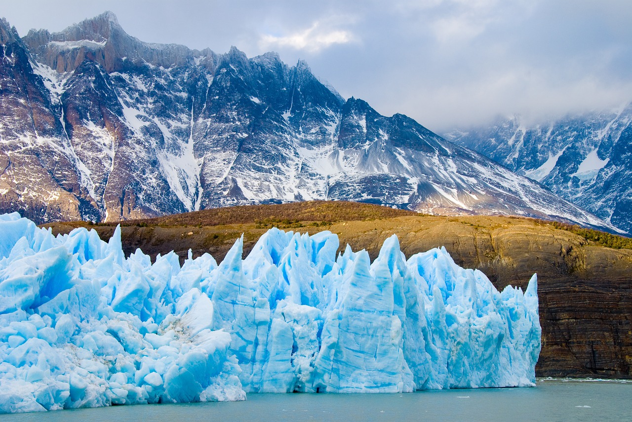 chile patagonia flock free photo