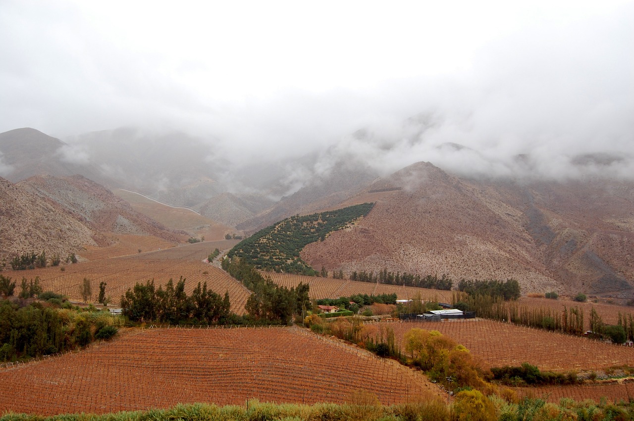 chile elqui valley pisco free photo