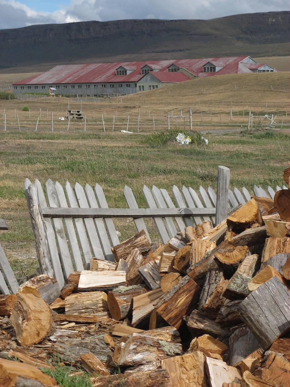 chile wood countryside free photo