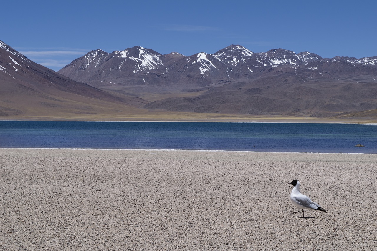 chile atacama volcanoes free photo