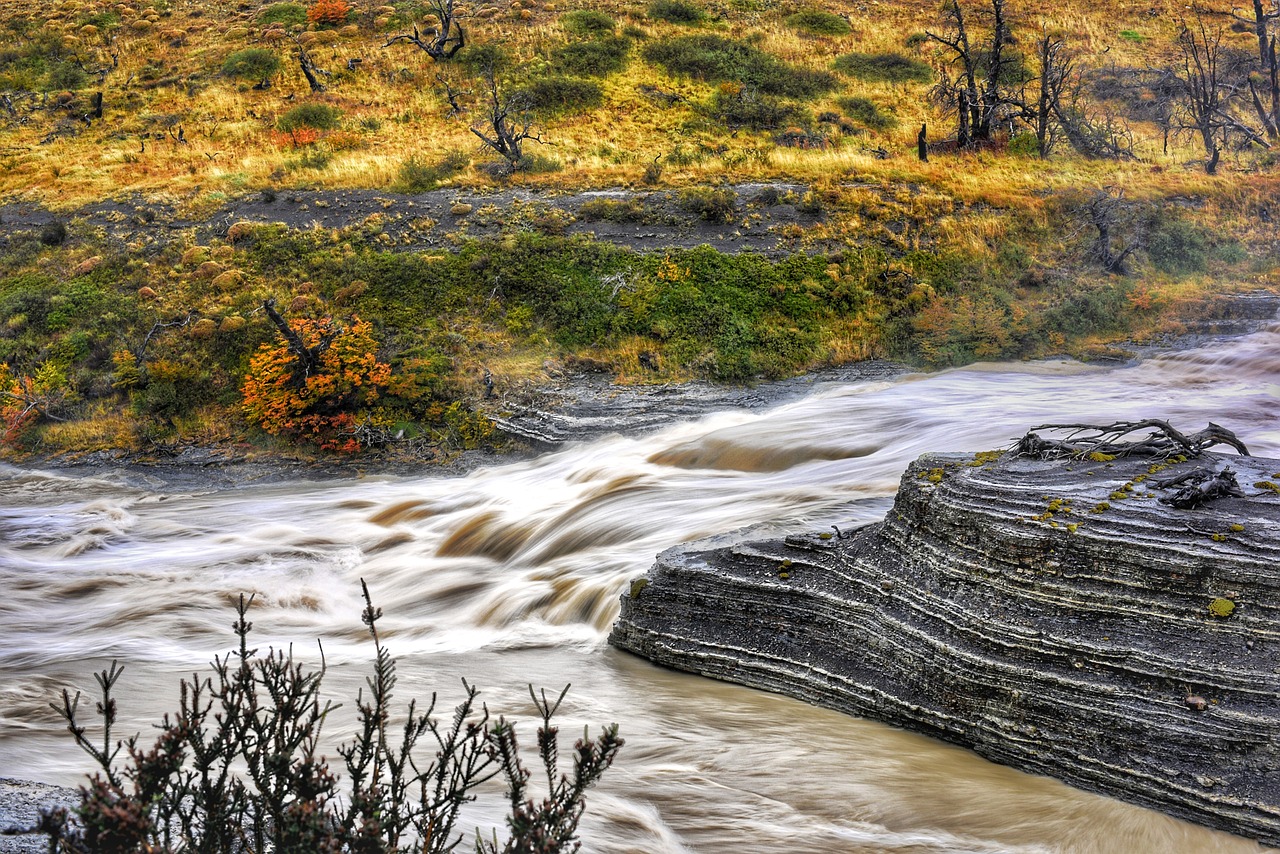 chile  torres del paine  national park free photo