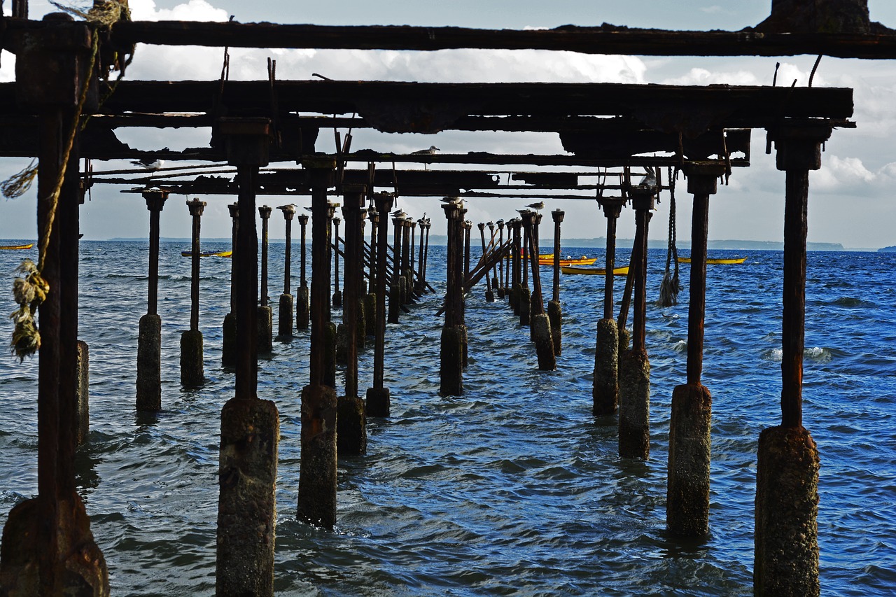 chile  puerto montt  cove free photo