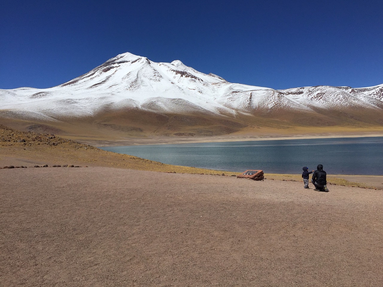 chile laguna altiplanica free photo