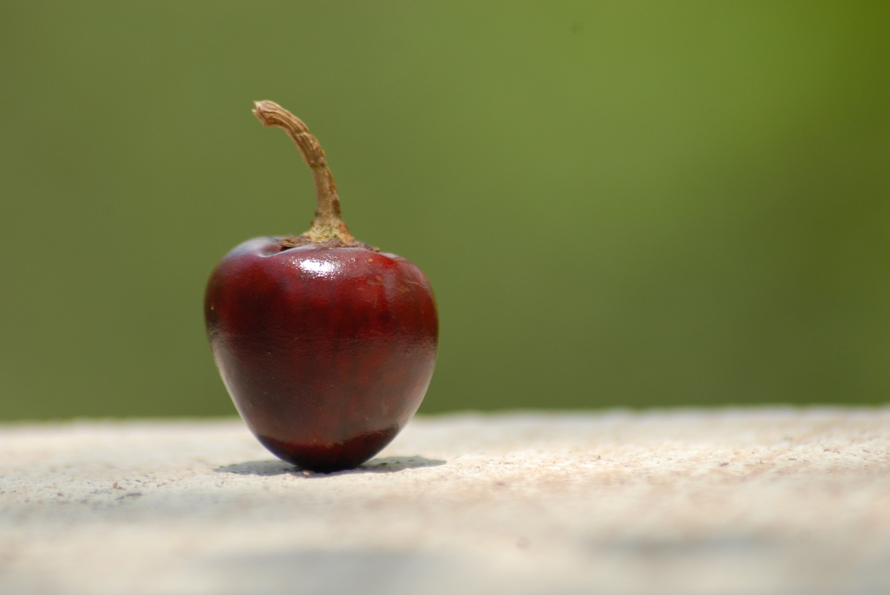 chile apple spicy nature free photo