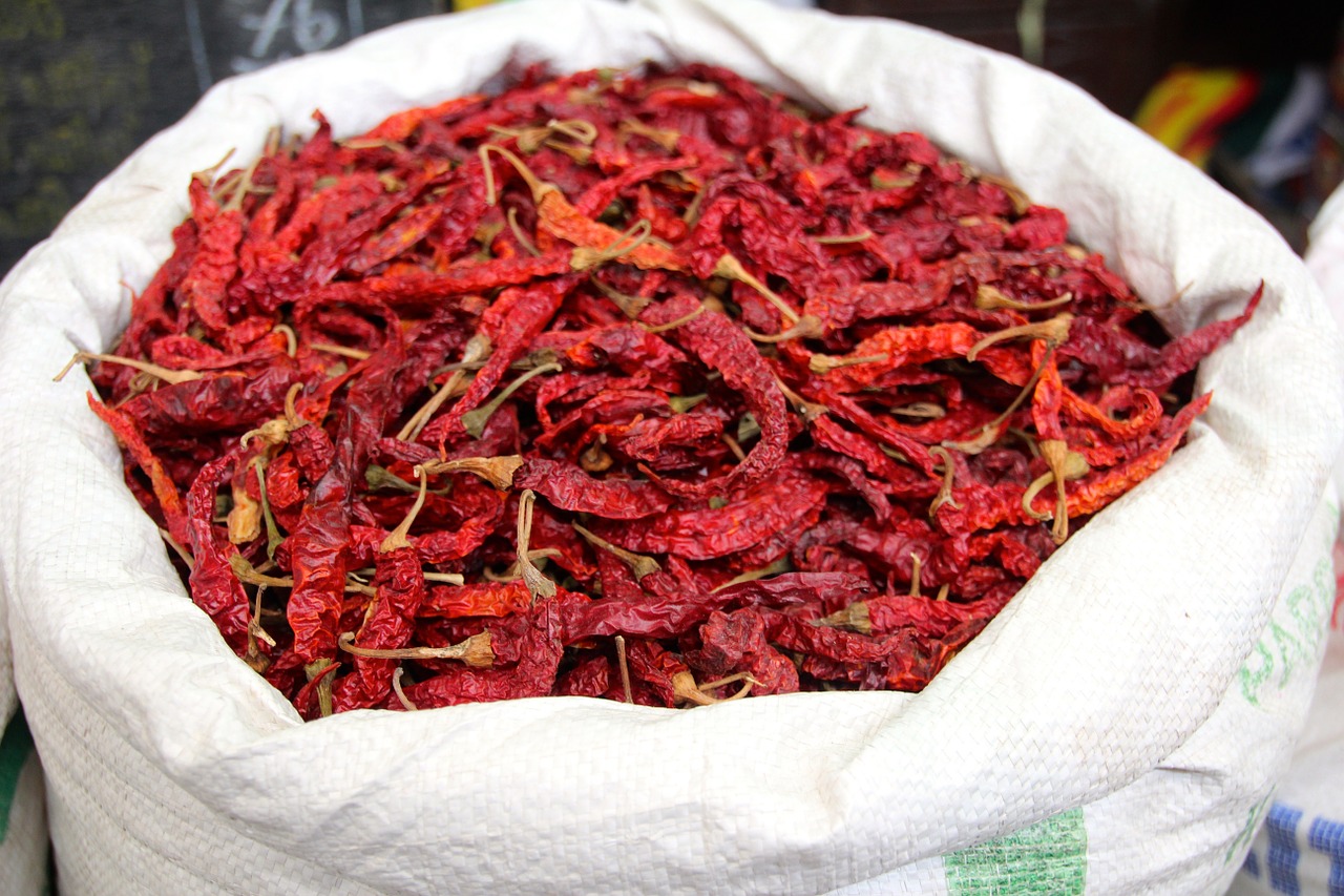 chili color spices free photo
