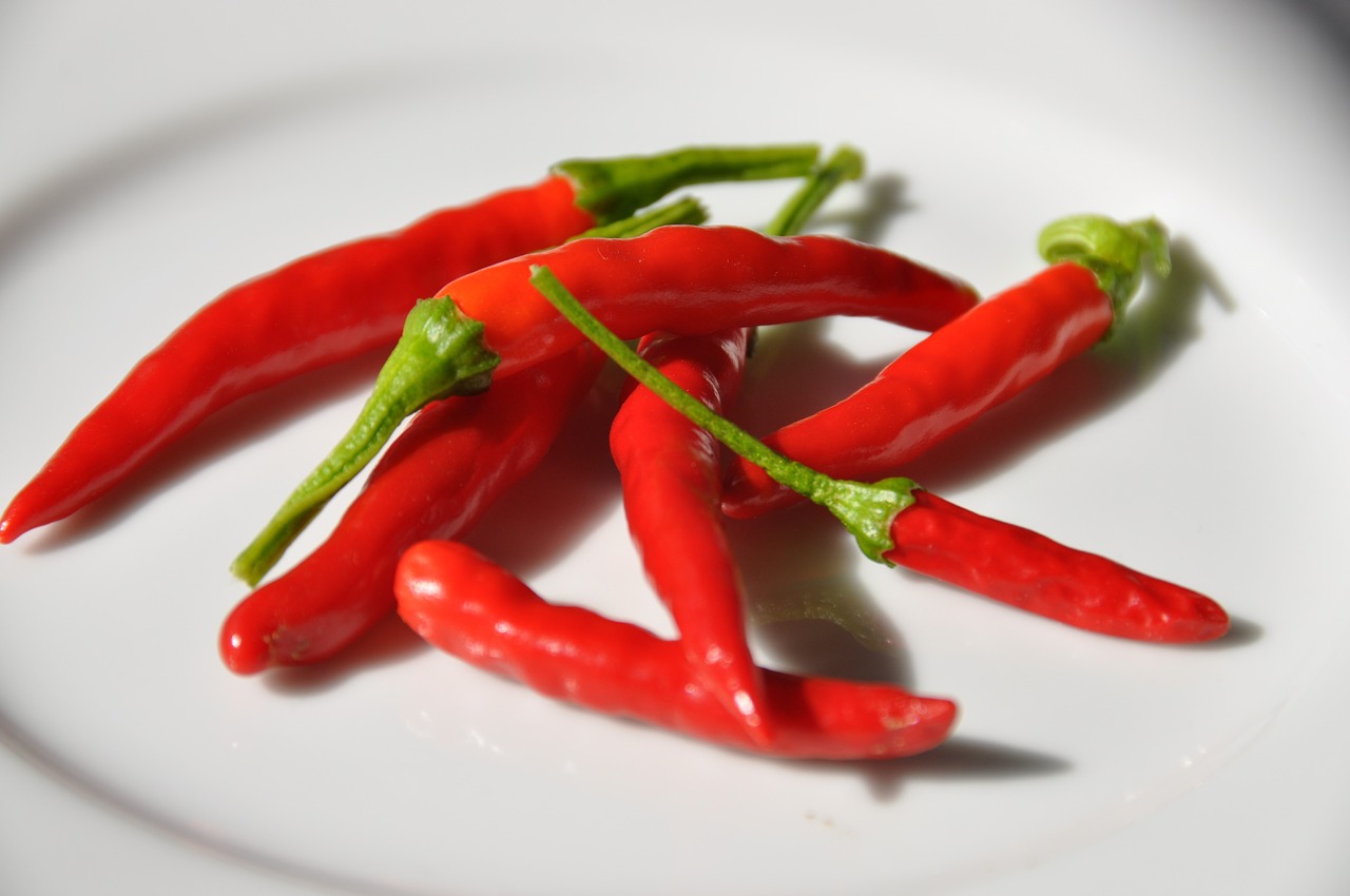 chili food pepper free photo