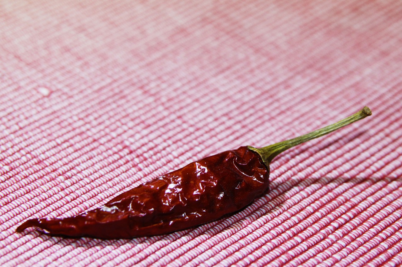 chili pod sharp free photo