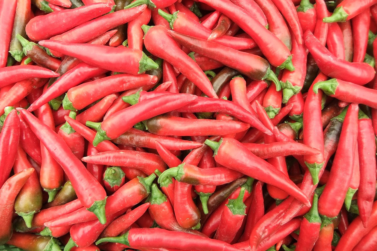 chili pepperoni sharp free photo