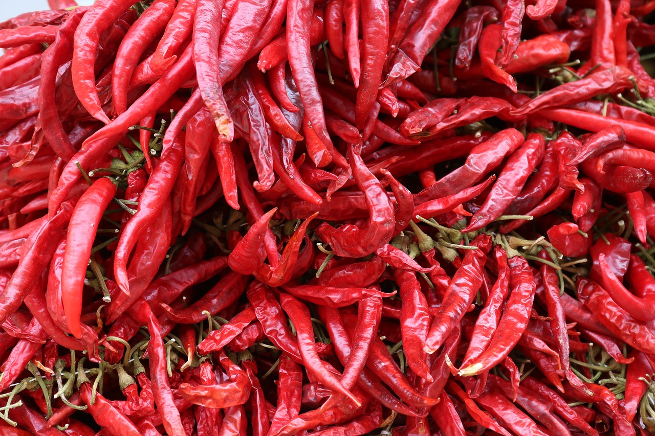 chili red sharp free photo