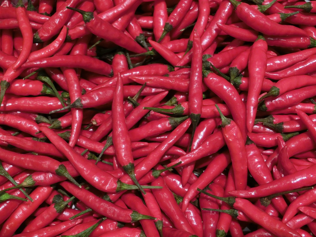 chili spice red free photo