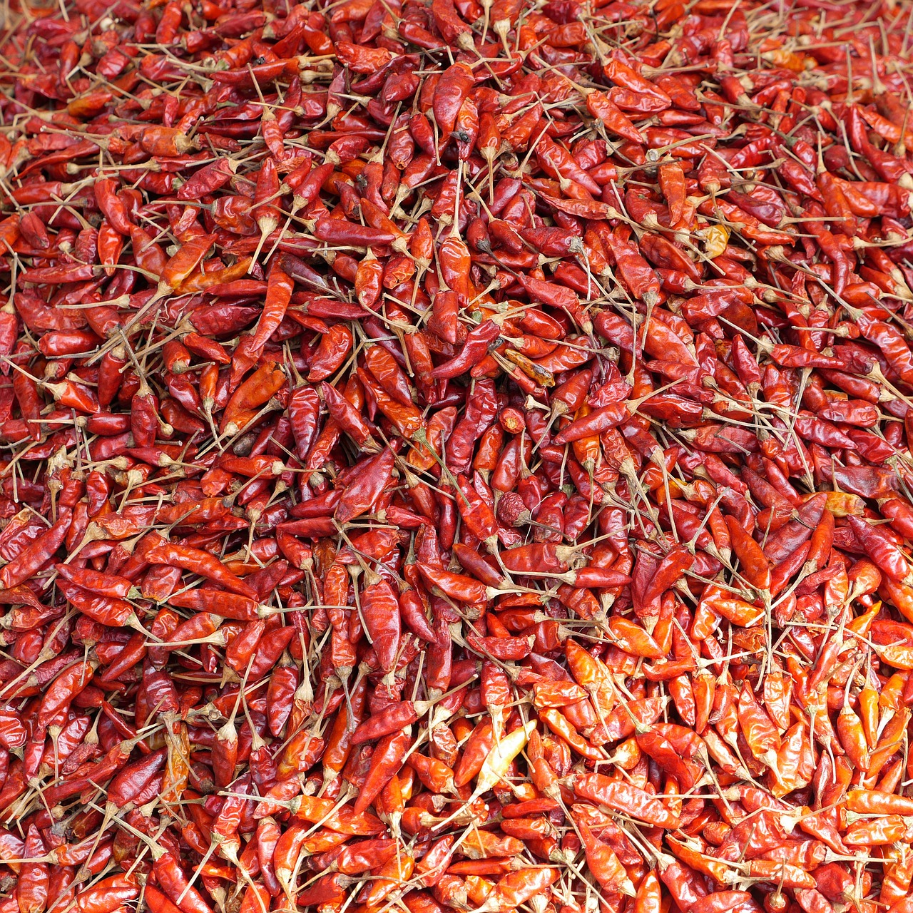 chili spice market free photo