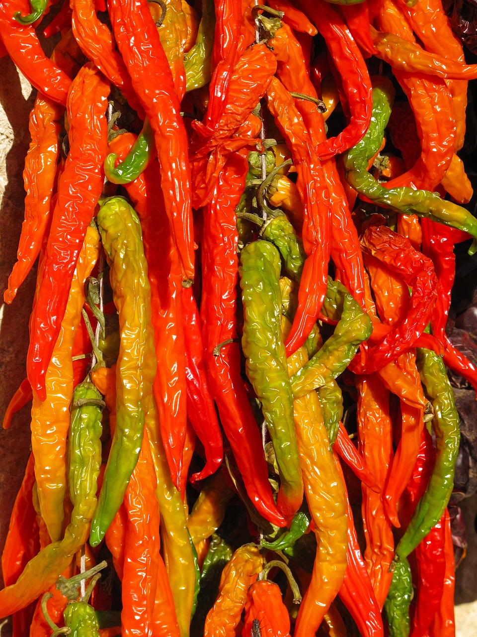 Chili,pepperoni,paprika,spice,colorful - free image from needpix.com