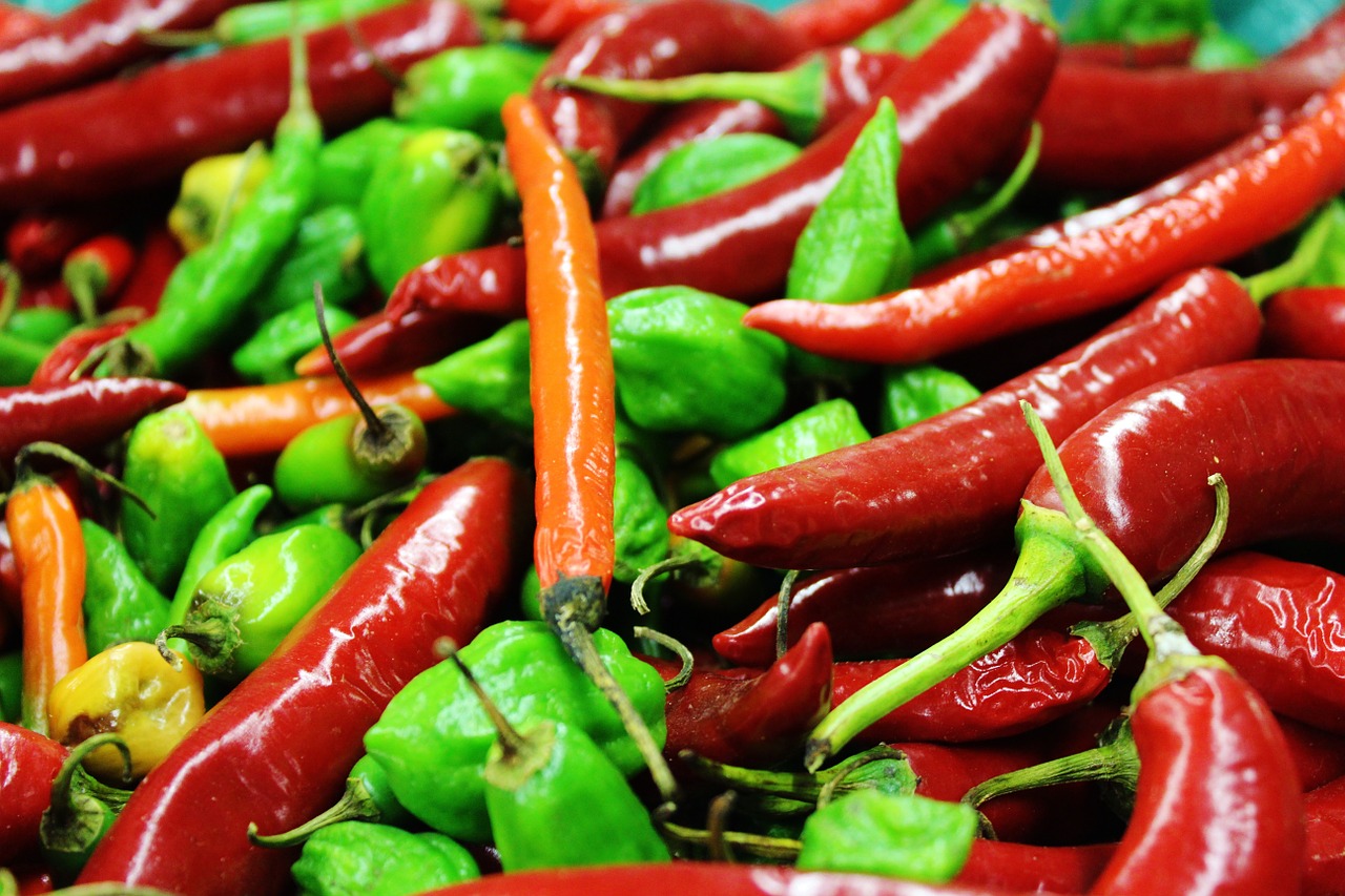 chili colorful sharp free photo