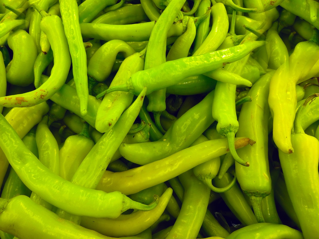 chili pepper vegetable green chili free photo