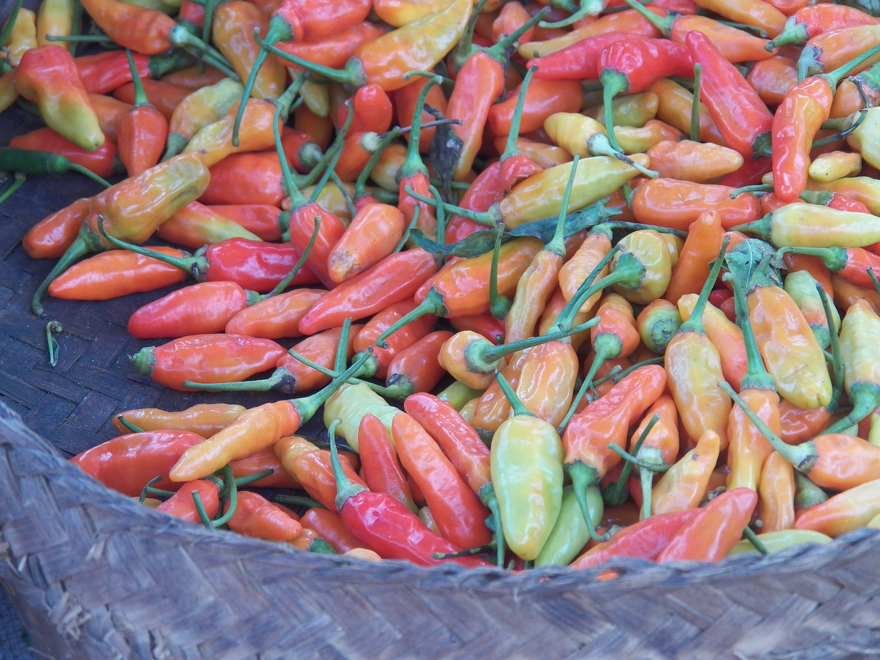 chili pepper red market free photo