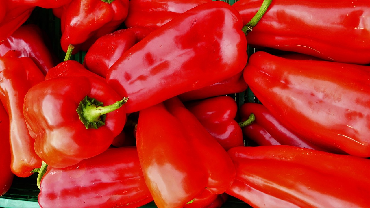 chili pepper food spice free photo